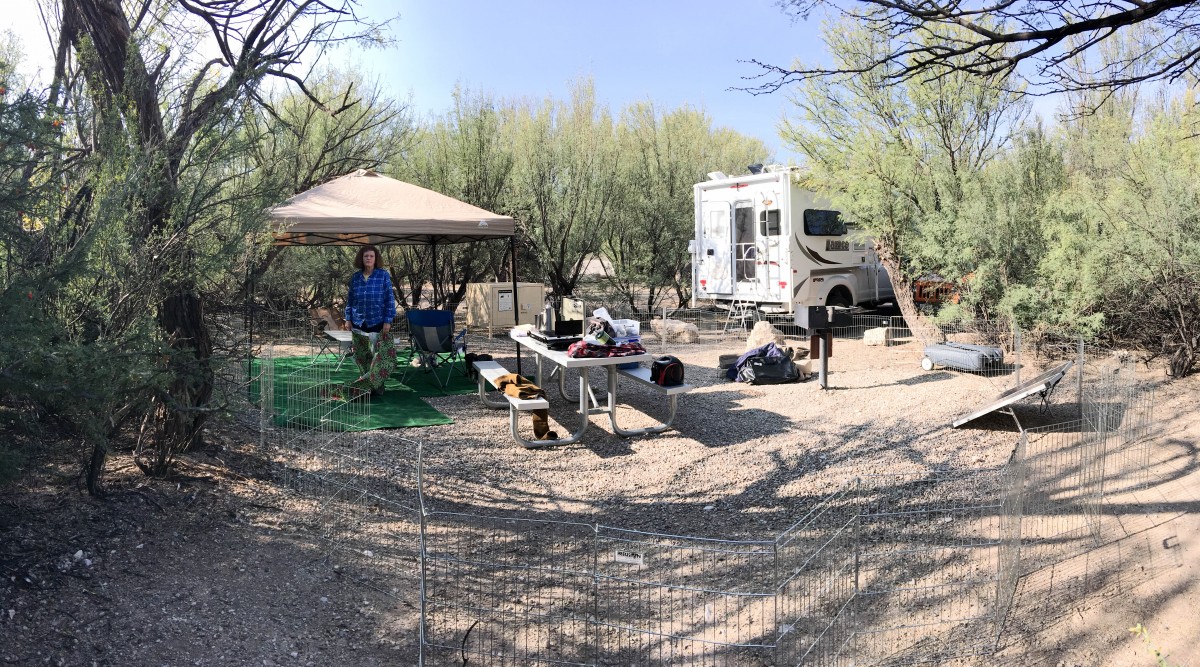 Big Bend National Park 11/2017 Day 2